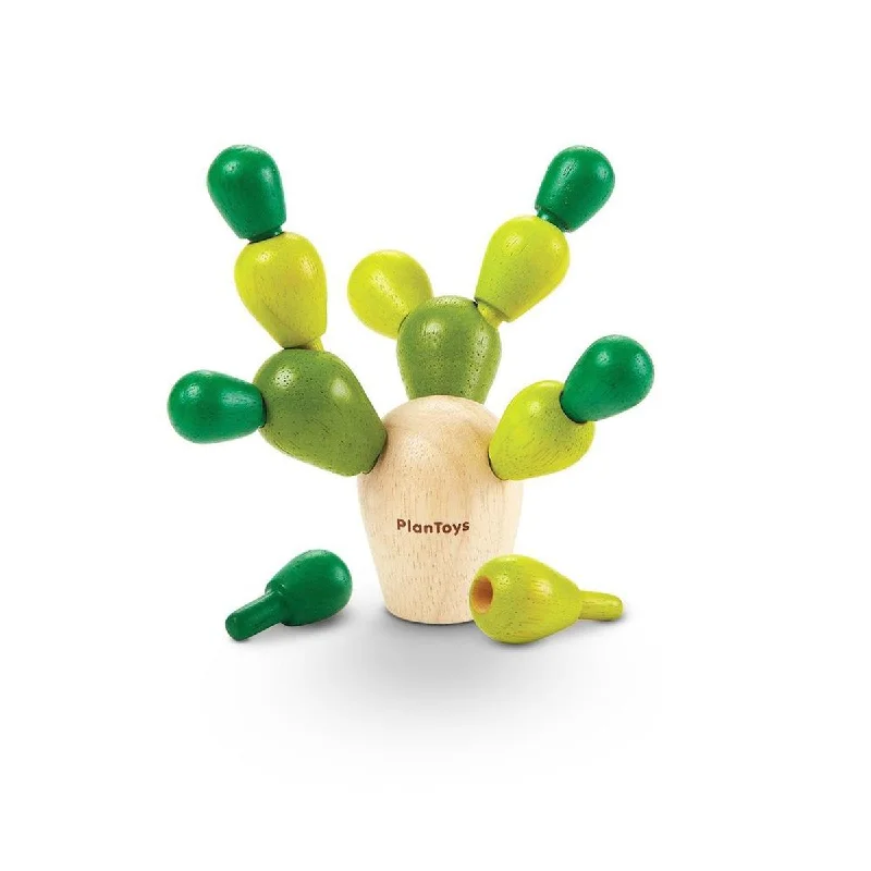 - Custom pet birthday cakePlan Toys mini balancing cactus