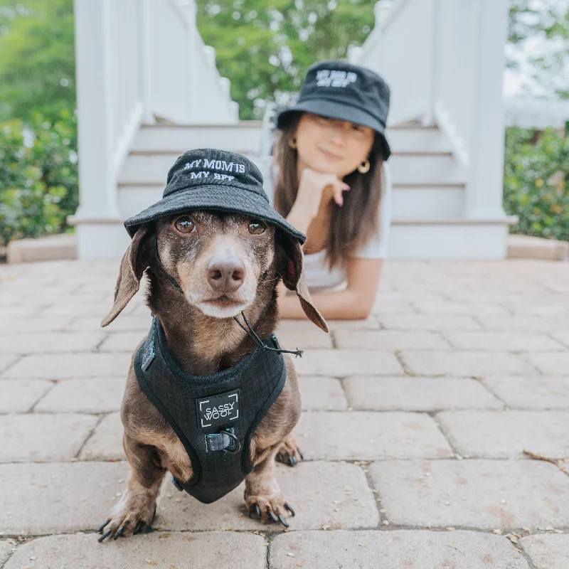 - Deodorizing cat litter tofu litterDog Bucket Hat - My Mom is my BFF