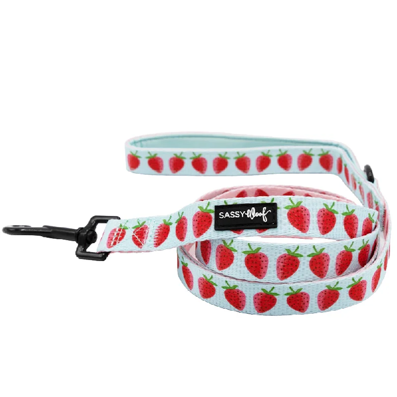 - Pet fence foldable indoorDog Leash  - I Woof You Berry Much