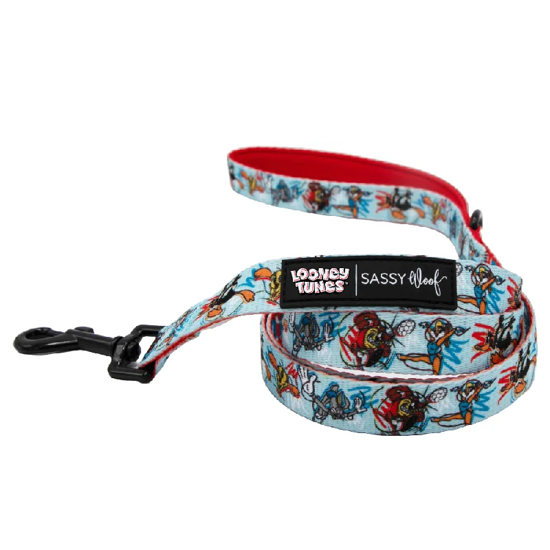 - Degradable pet feces bagDog Leash - Looney Tunes™ Blue