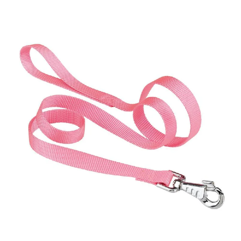 9. **Dog paw cream is winter**Ferplast Club G 15/120 Nylon Lead Pink