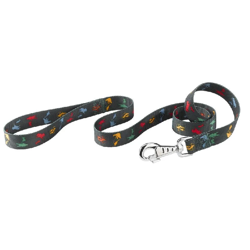 1. **Pet collar with custom engraving**Ferplast Club G 25/120 Nylon Lead Circus